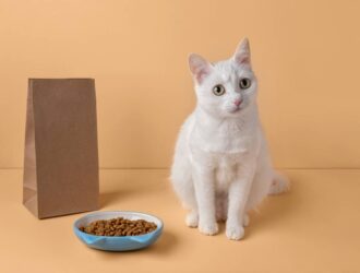 Beautiful white cat sitting next to a food bowl on a beige background, concept. Feeding a pet. Copy space